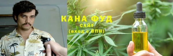 молекула духа Алексеевка