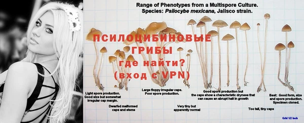 круглые Аркадак